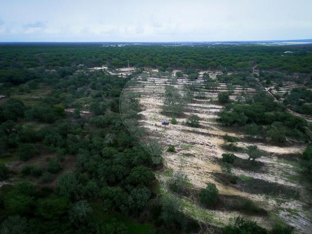 Terreno venda em Poceirão e Marateca, Palmela