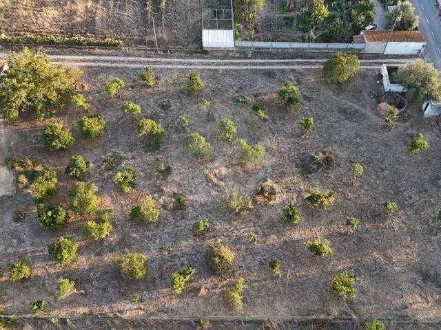 Terreno venda em Palmela, Setúbal