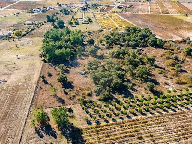 Terreno venda em Mira Ventos, Palmela