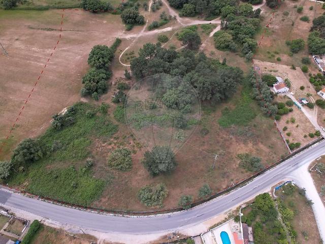 Terreno venda em Palmela