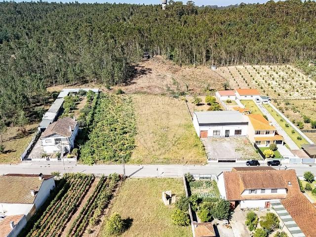 Terreno venda em Pampilhosa, Mealhada