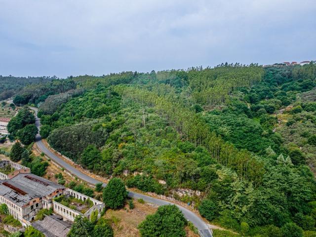 Terreno venda em Tonda, Tondela