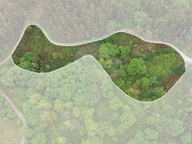 Terreno venda em Cabo de Além, Vieira do Minho