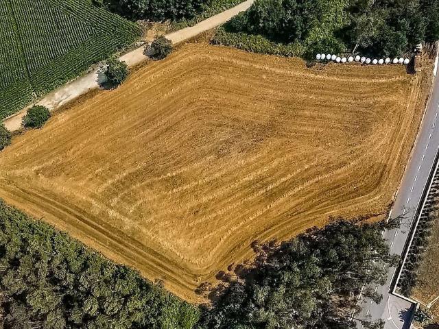 Terreno venda em Paradela, Barcelos