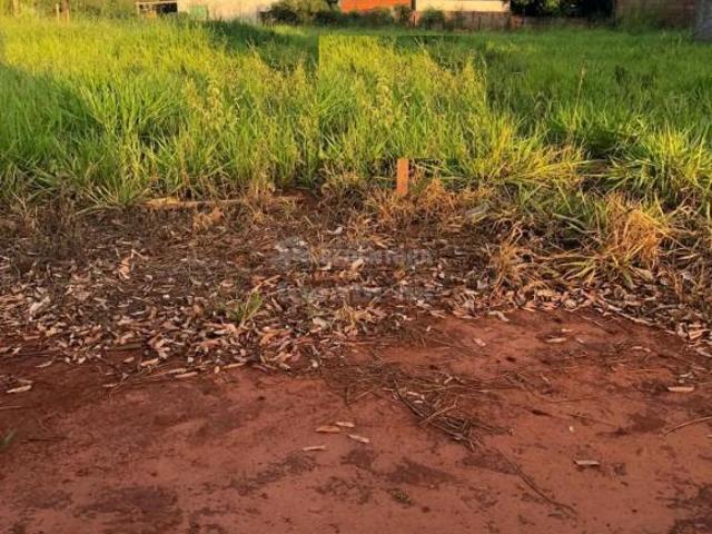 Terreno venda em Paranapuã