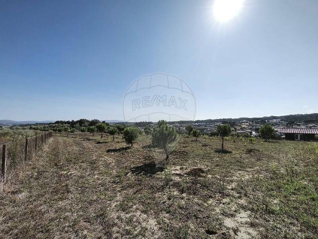 Terreno venda em Parceiros e Azoia, Leiria