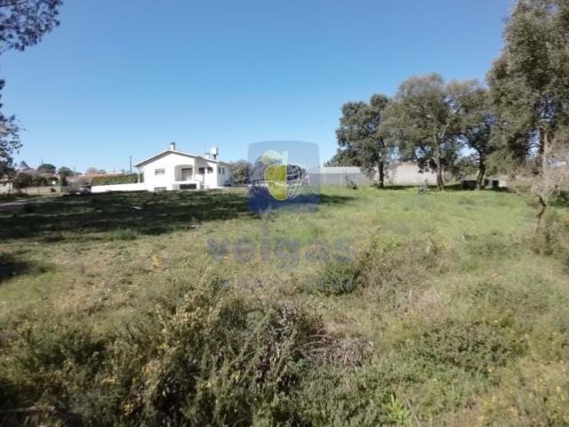 Terreno venda em Parceiros e Azoia, Leiria