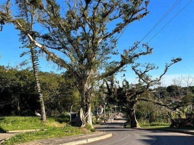 Terreno venda em Região Geográfica Imediata de Montenegro, Pareci Novo