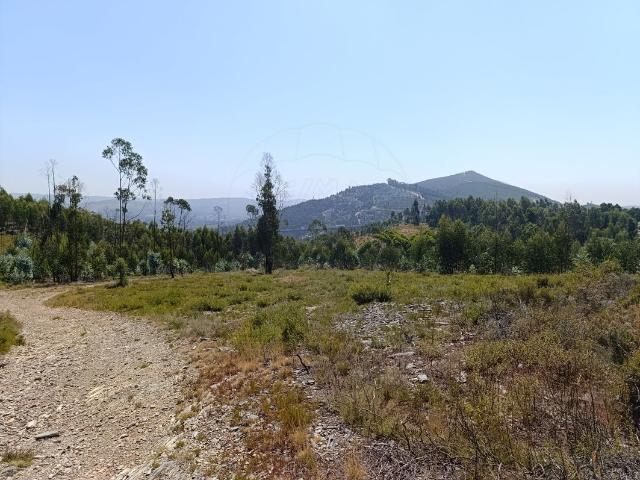 Terreno venda em Senande, Bitarães