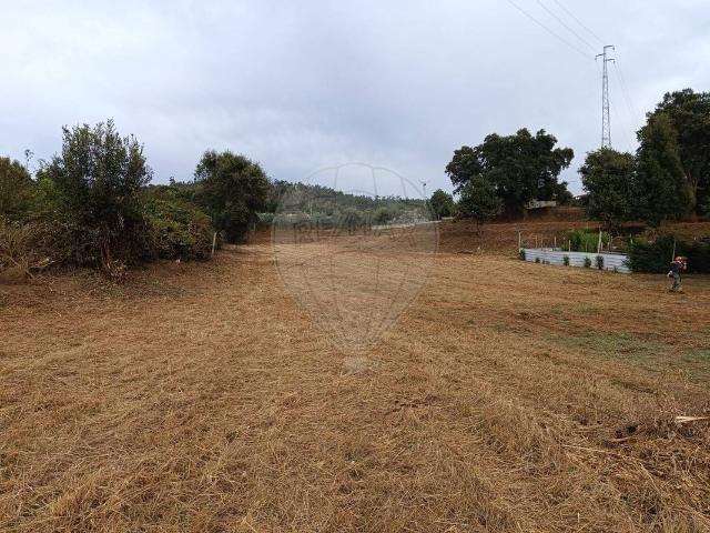 Terreno venda em Devesa, Bitarães