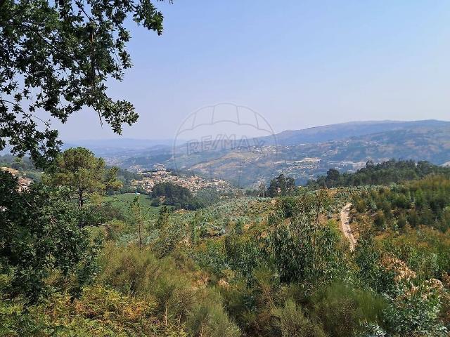Terreno venda em Paredes de Viadores, Paredes de Viadores e Manhuncelos