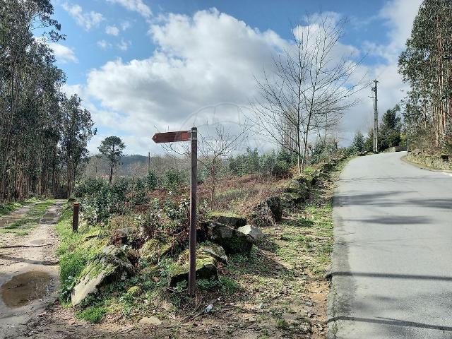 Terreno venda em Paredes