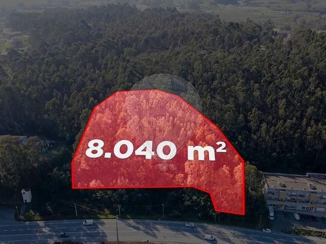 Terreno venda em Paredes