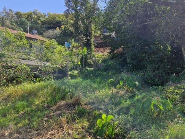 Terreno venda em Região Geográfica Imediata de Taquara - Parobé - Igrejinha, Região Metropolitana de Porto Alegre