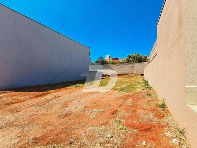 Terreno venda em Jardim Pinheiros, Birigui