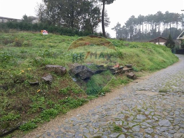 Terreno venda em Novo, Covas