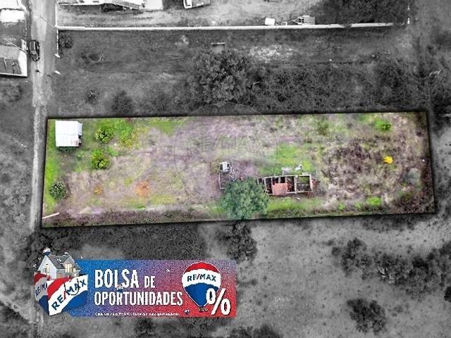 Terreno venda em Parreira e Chouto, Chamusca