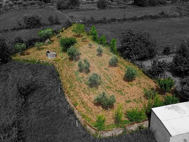 Terreno venda em Paul, Covilhã