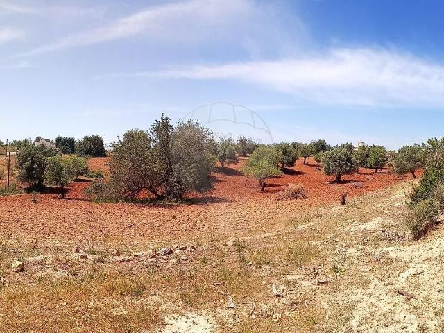 Terreno venda em Pechão, Olhão