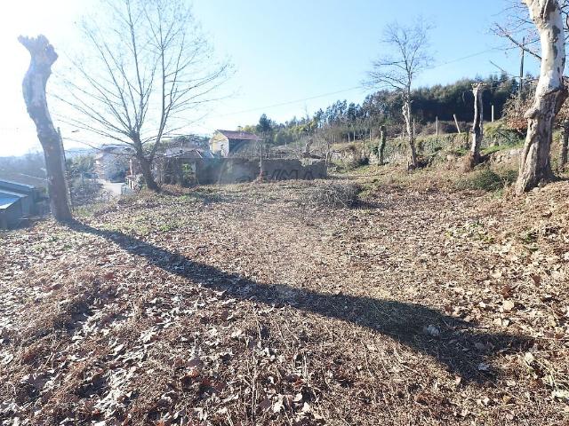 Terreno venda em Pedreira, Rande e Sernande, Felgueiras