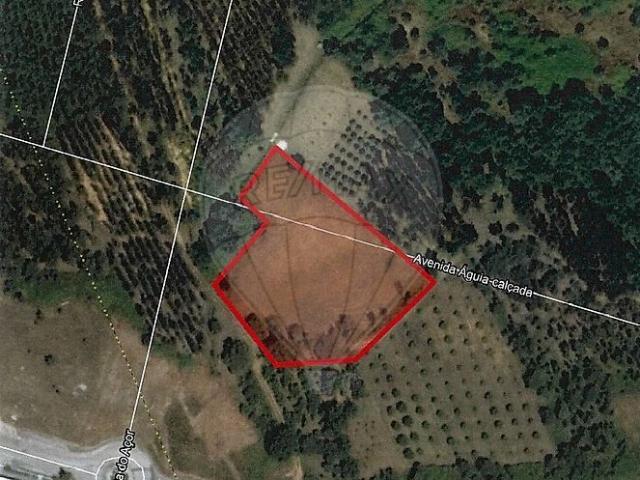Terreno venda em Porto de Mós - São João Baptista e São Pedro, Porto de Mós