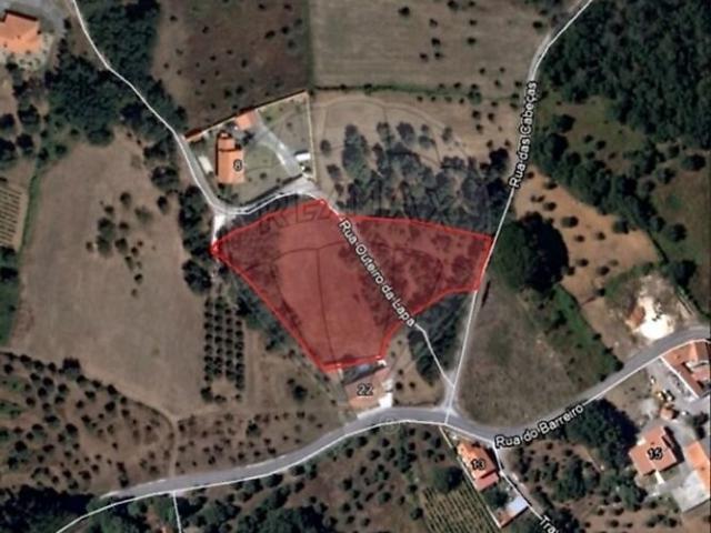 Terreno venda em Pedreiras, Porto de Mós