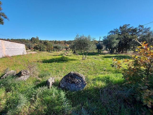 Terreno venda em Pedrógão de São Pedro e Bemposta, Penamacor