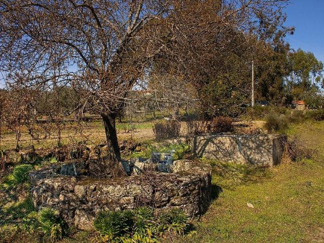 Terreno venda em Penamacor