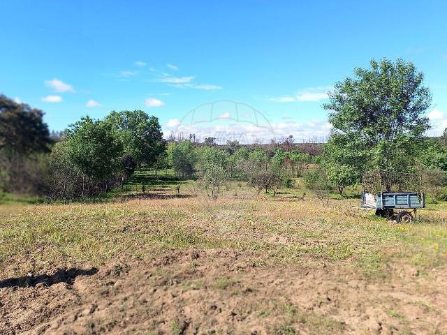 Terreno venda em Penamacor
