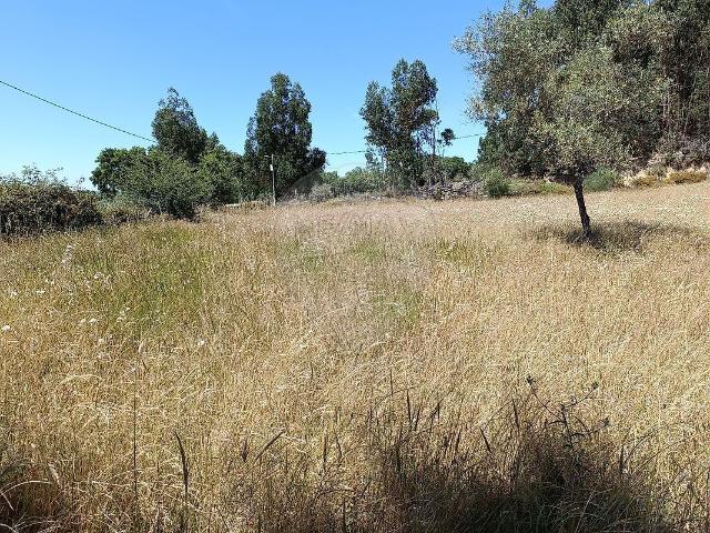 Terreno venda em Pedrógão de São Pedro e Bemposta, Penamacor