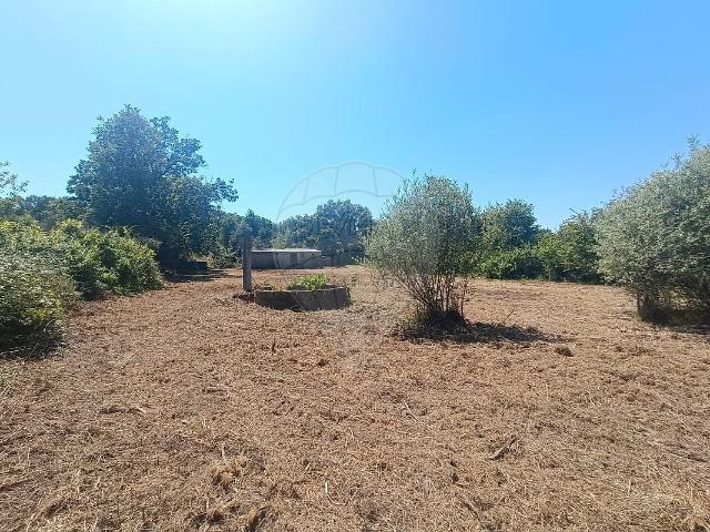 Terreno venda em Pedrógão de São Pedro e Bemposta, Penamacor