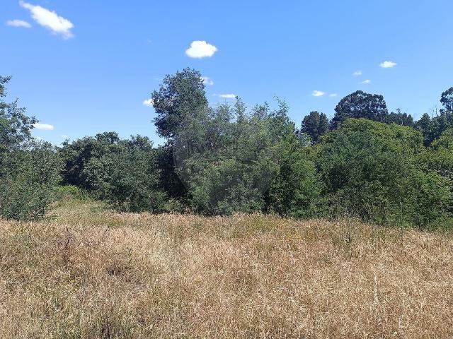 Terreno venda em Pedrógão de São Pedro e Bemposta, Penamacor
