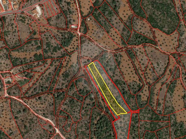 Terreno venda em Pedrógão, Torres Novas