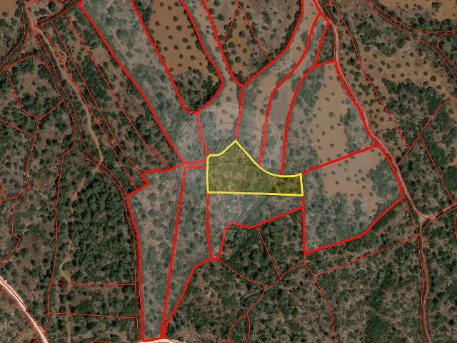 Terreno venda em Pedrógão, Torres Novas