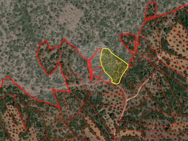 Terreno venda em Pedrógão, Torres Novas