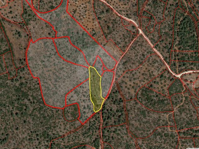 Terreno venda em Pedrógão, Torres Novas