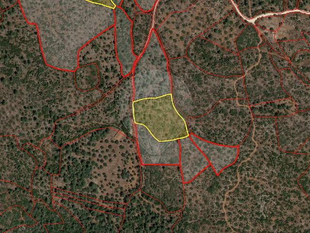Terreno venda em Pedrógão, Torres Novas