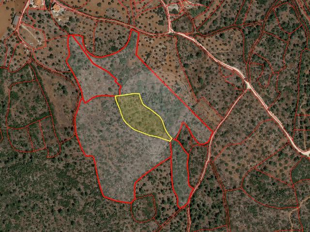 Terreno venda em Pedrógão, Torres Novas