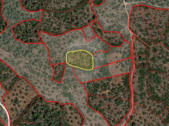 Terreno venda em Pedrógão, Torres Novas
