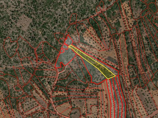 Terreno venda em Pedrógão, Torres Novas