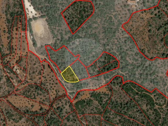 Terreno venda em Pedrógão, Torres Novas