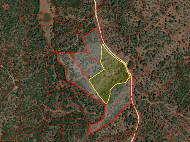 Terreno venda em Pedrógão, Torres Novas