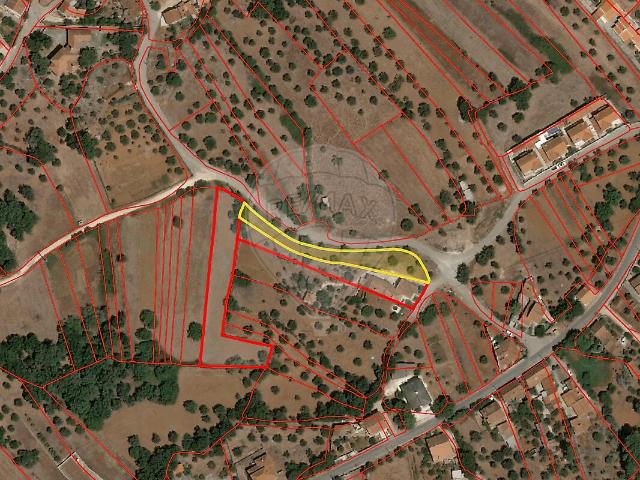 Terreno venda em Pedrógão, Torres Novas