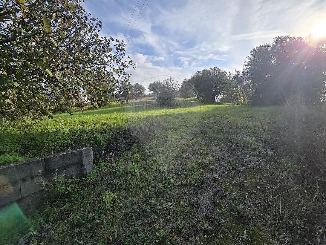 Terreno venda em Pedrógão, Torres Novas