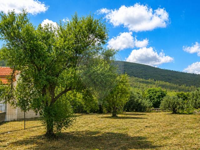 Terreno venda em Pedrógão, Torres Novas