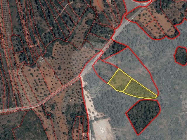 Terreno venda em Pedrógão, Torres Novas