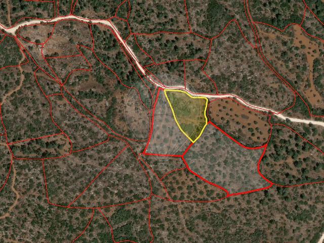 Terreno venda em Pedrógão, Torres Novas