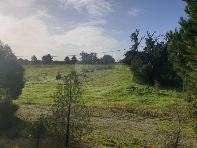 Terreno venda em Montijo, Setúbal