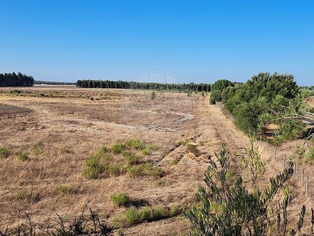 Terreno venda em Canha, Montijo