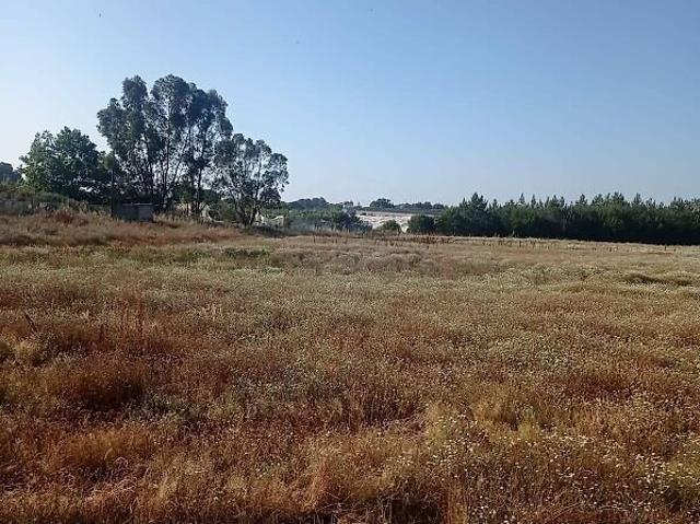 Terreno venda em Pegões, Montijo